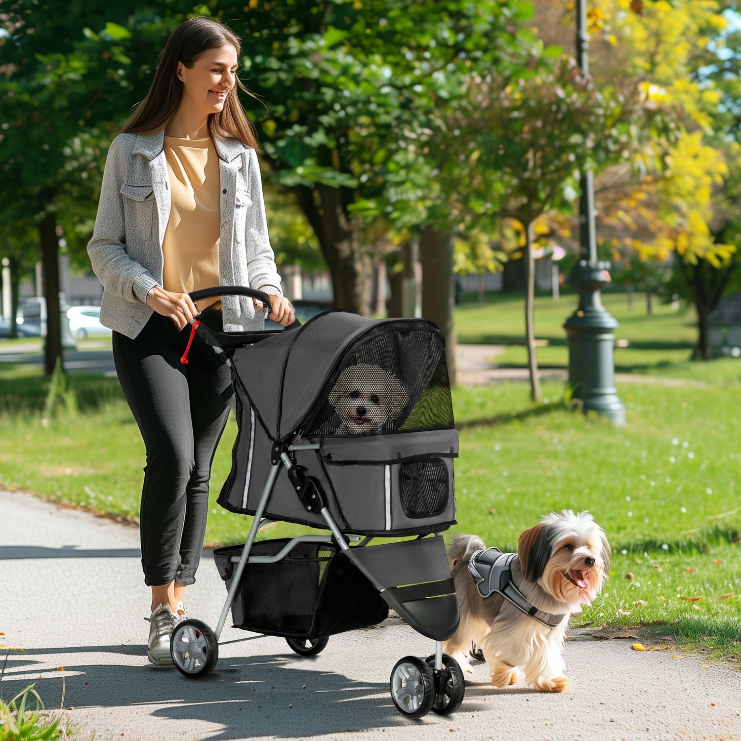 Dog Carriers & Strollers