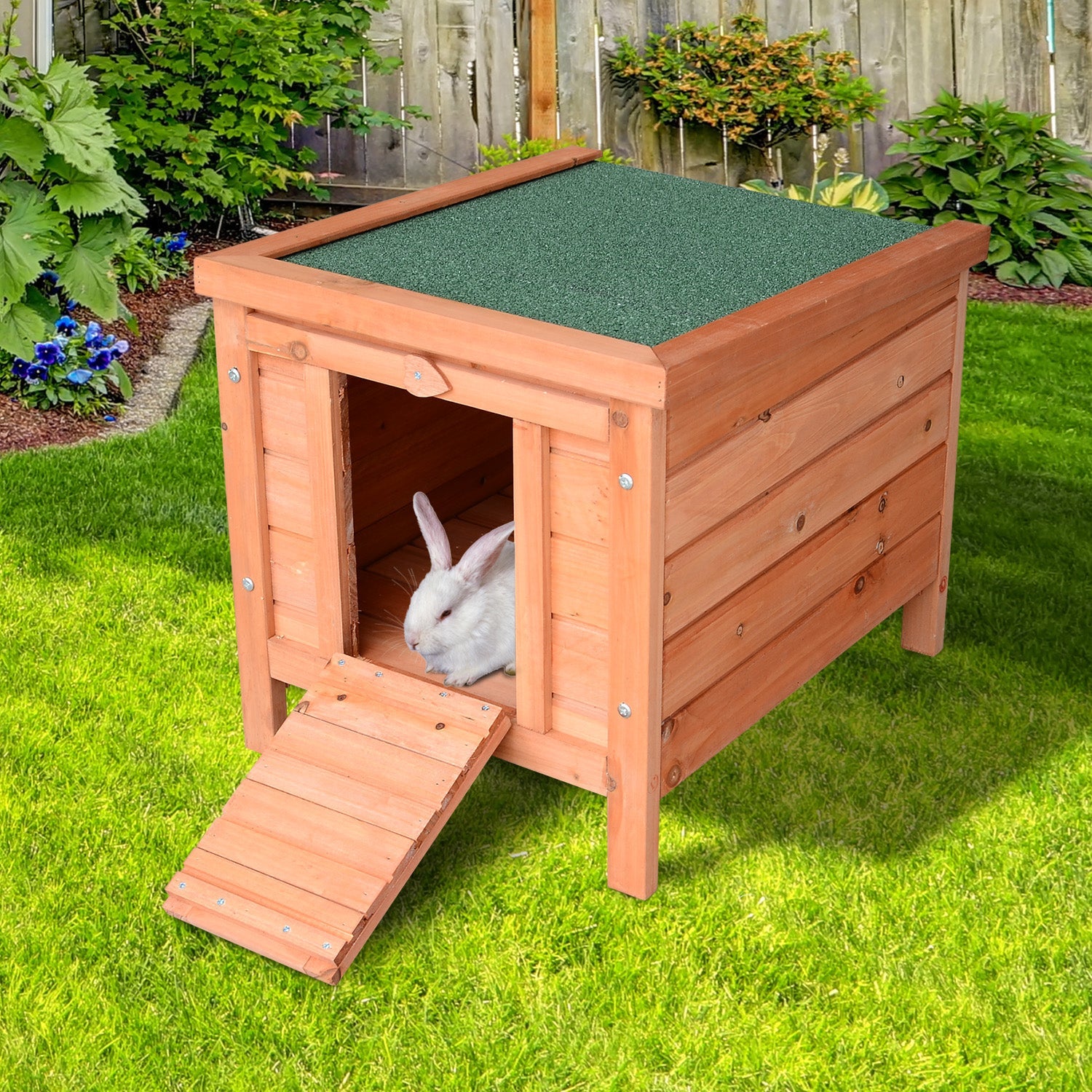 Guinea Pigs Hutches