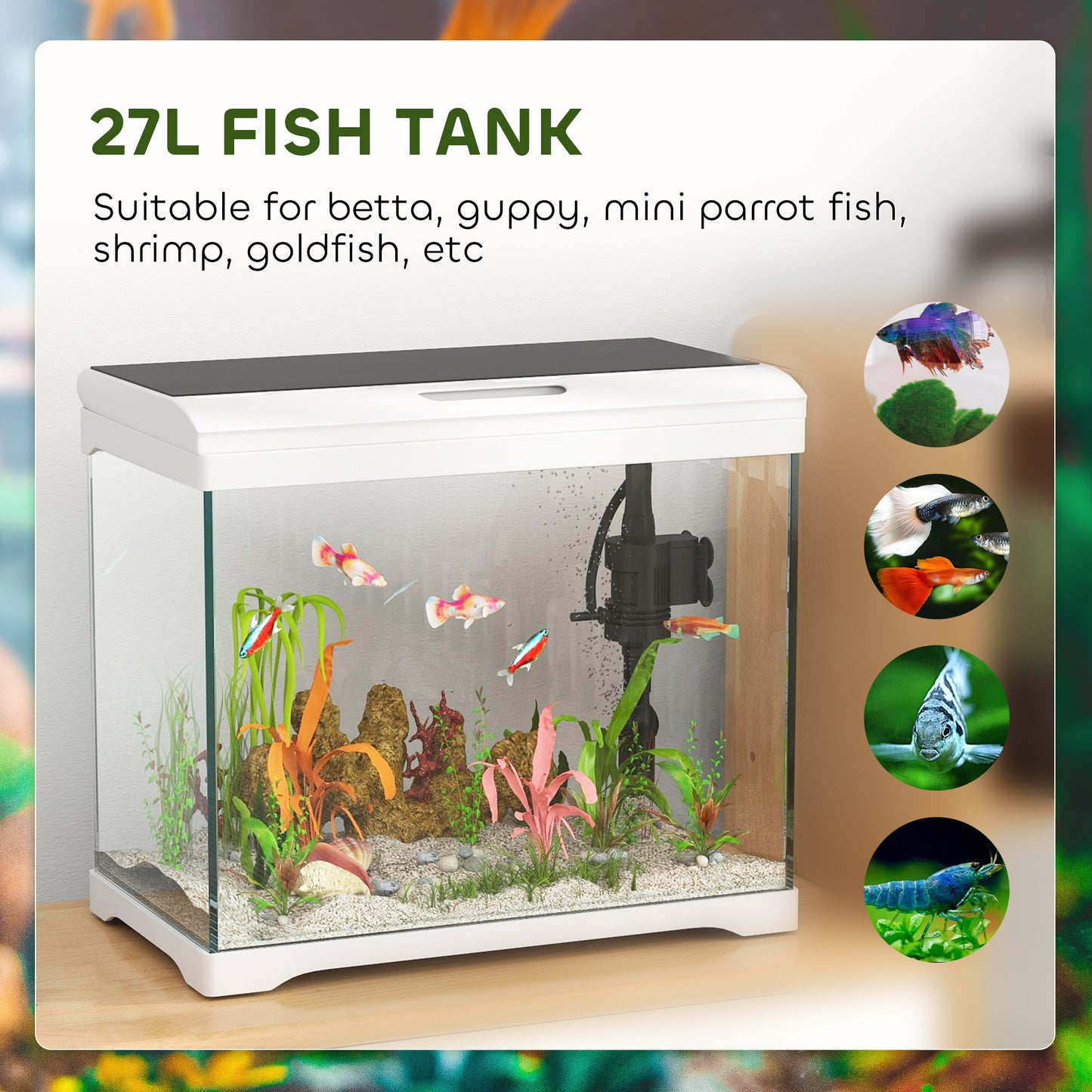 PawHut 27L Glass Fish Tank with Filter System, LED Light, Water Pump, White