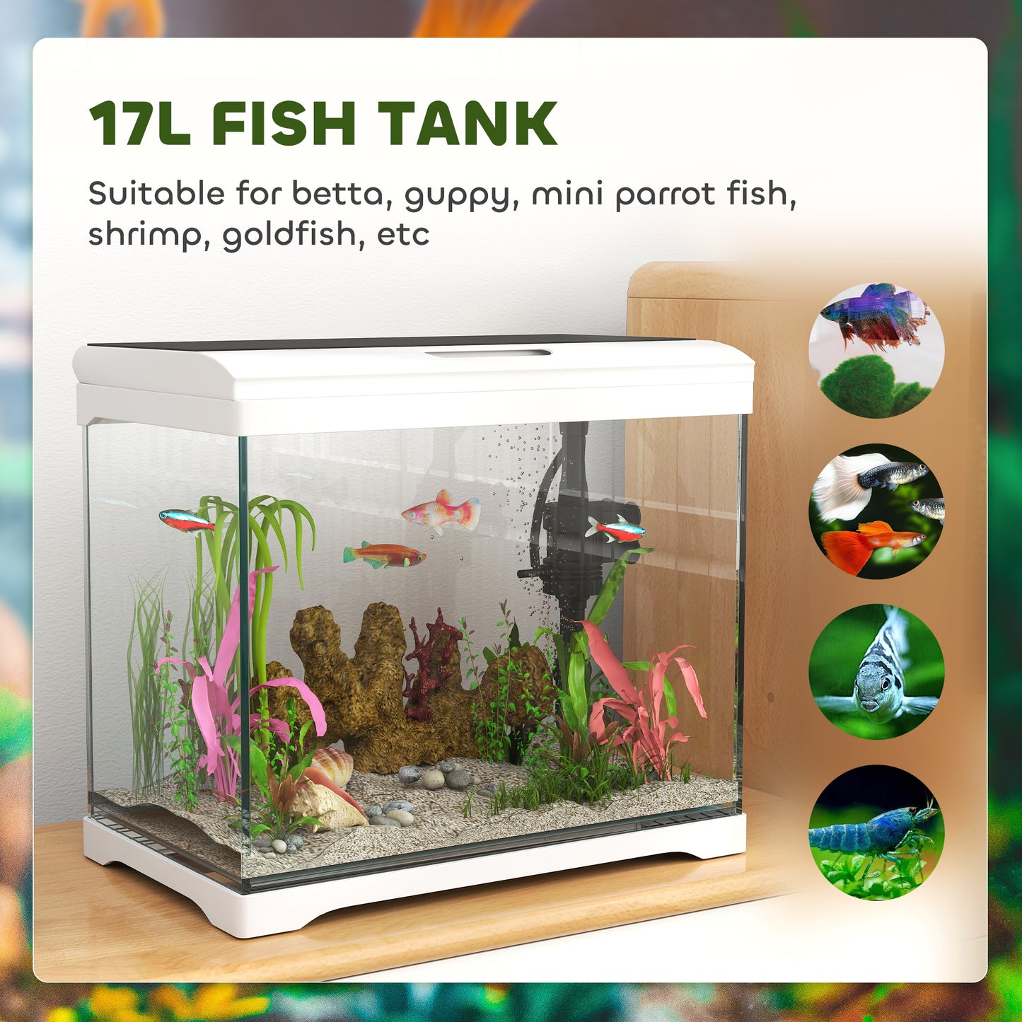 PawHut 17L Glass Fish Tank with Filter System, LED Light, Water Pump, White