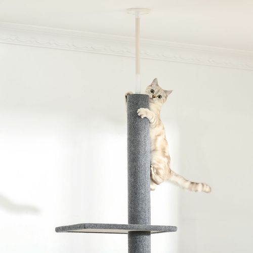 260cm Floor To Ceiling Cat Tree Kitten Tower Adjustable Height - Grey Pawhut