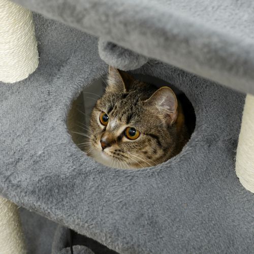 Cat Tree Tower for Indoor Cats w/ Scratching Posts, Pad, Light Grey, Toy Ball