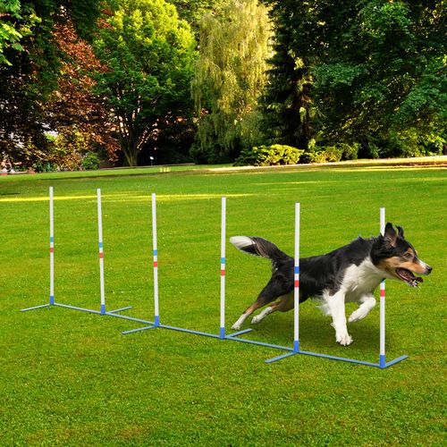 Dog Weave Pole Set Agility Starter Kit Pet Outdoor Exercise Training Set