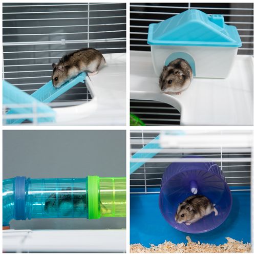 Five-Level Hamster Cage w/ Tubes, Water Bottle, Exercise Wheel, Ramps - Blue