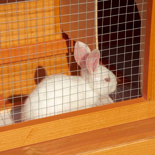 2-tier Rabbit Hutch Small Animal Wooden Bunnies House Outdoor Backyard 2 Sizes