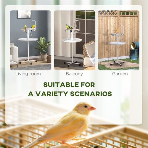 Bird Stand ( Amazon Shipping)（Prohibited by WalMart）