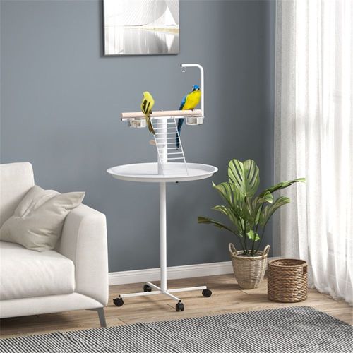 Bird Stand ( Amazon Shipping)（Prohibited by WalMart）